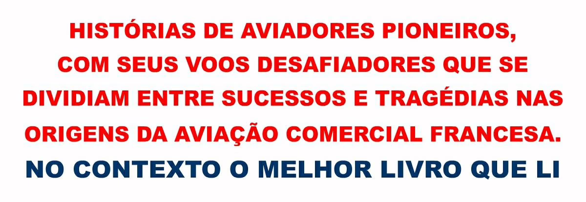 Nas Asas da Linha do Tempo – Livro Excelente