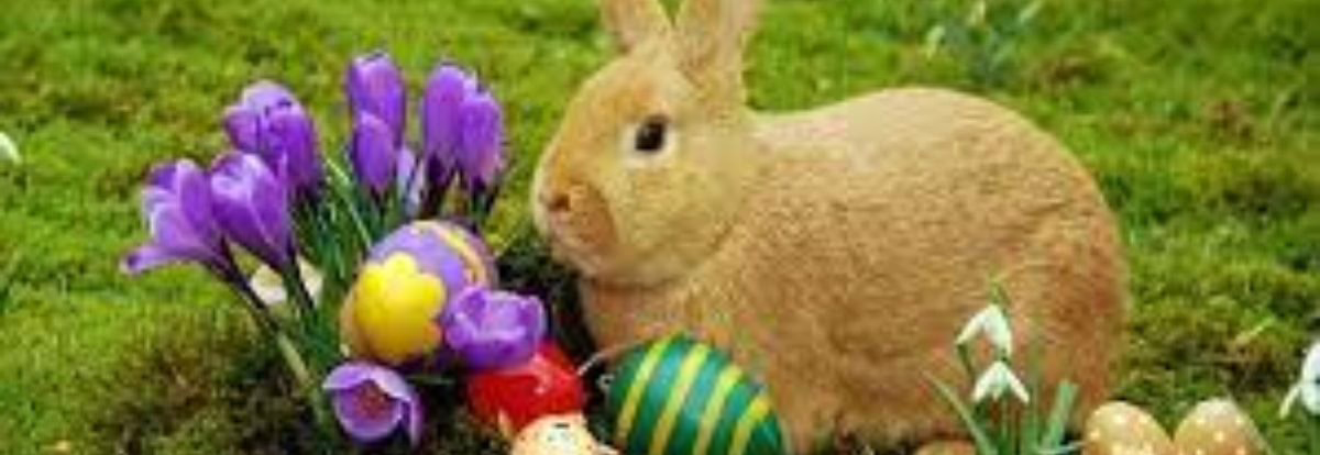 Páscoa, Chocolates, Coelhos e Ovos – A História